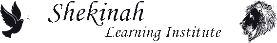Managed IT Services | ALCON DTS Shekinah Learning Institute light mark
